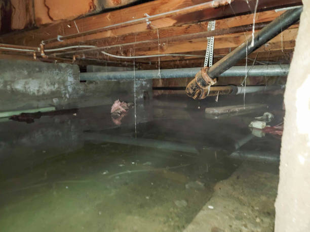 Best 24/7 water damage repair  in Sun Valley, ID