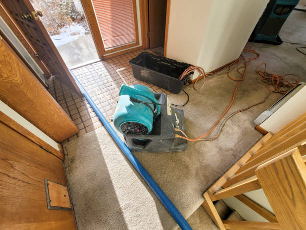 Best Basement water damage restoration  in Sun Valley, ID