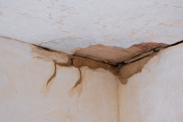Best Commercial water damage restoration  in Sun Valley, ID