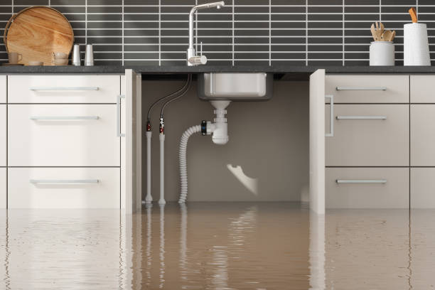Best Water damage cleanup near me  in Sun Valley, ID